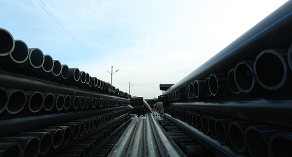 PE91视频软件下载